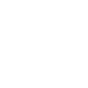 SISTEMA