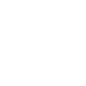 TINECO