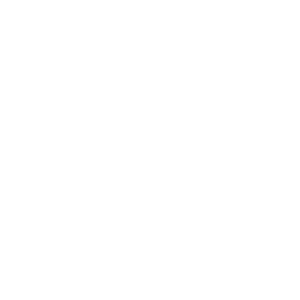 MOULINEX